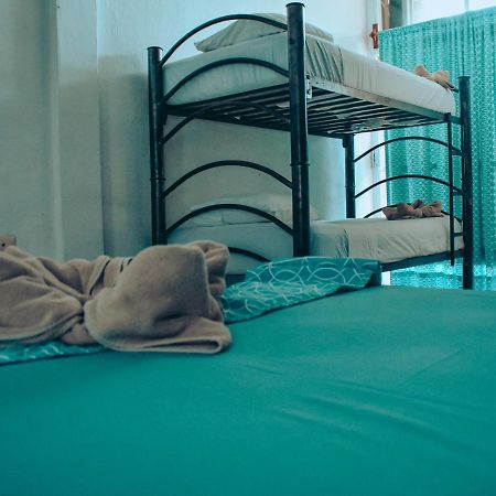 Les Trois Singes - Friendly Hostel Ісла-Мухерес Екстер'єр фото